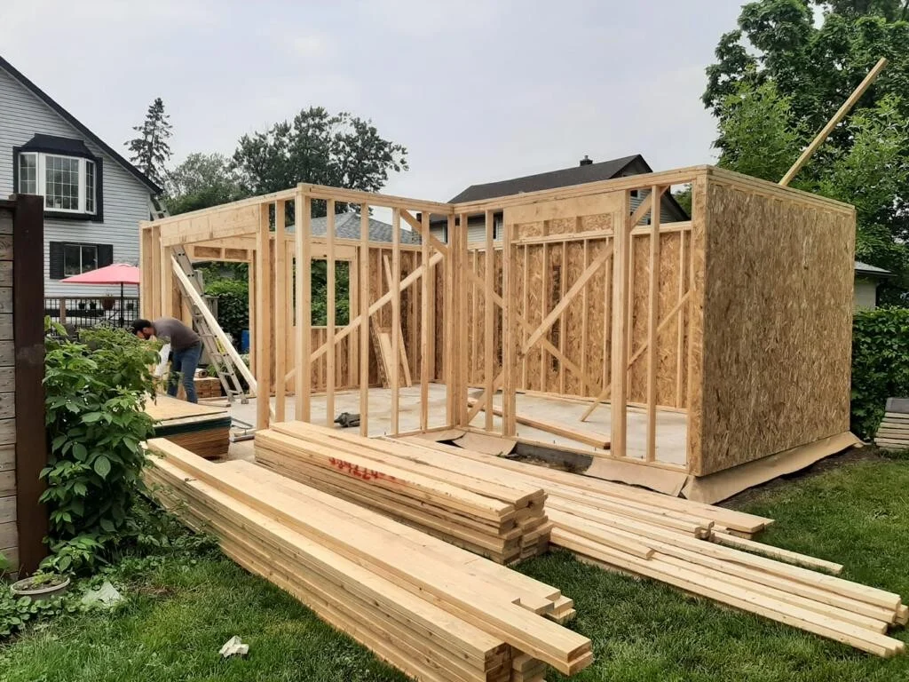 Exposed timber studs, headers, and temporary bracing with wall sheathing underway.